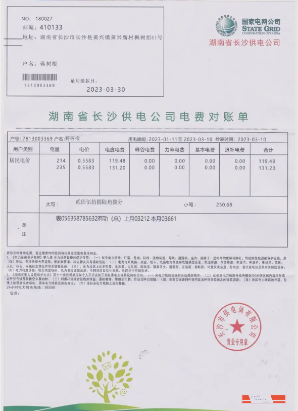 CHINA STATE POWER GRID utility bill Word and PDF template